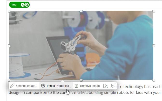 Click an image (GIF) and click the Image Properties link
