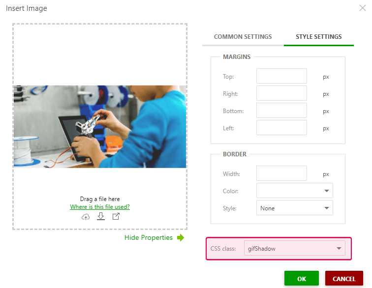 Choose the created CSS class for your GIF in the Style settings