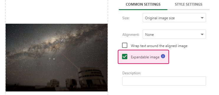The Expandable image option in the image's properties.