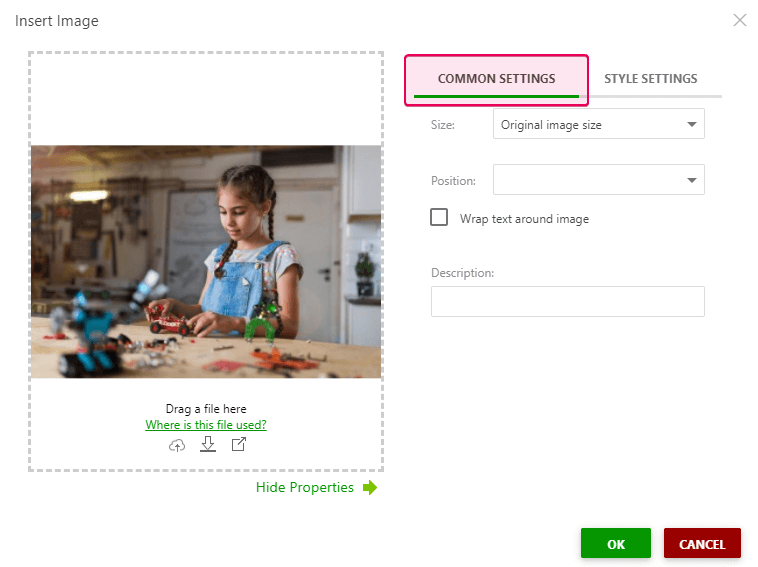Click the Common Setting tab in the Image properties
