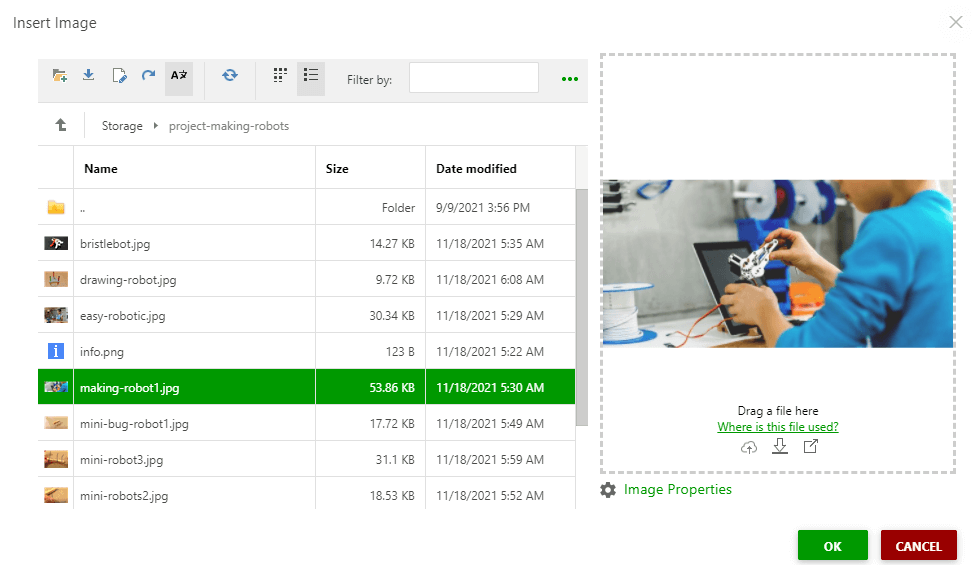 Click the image to see its preview in the Insert Image dialog