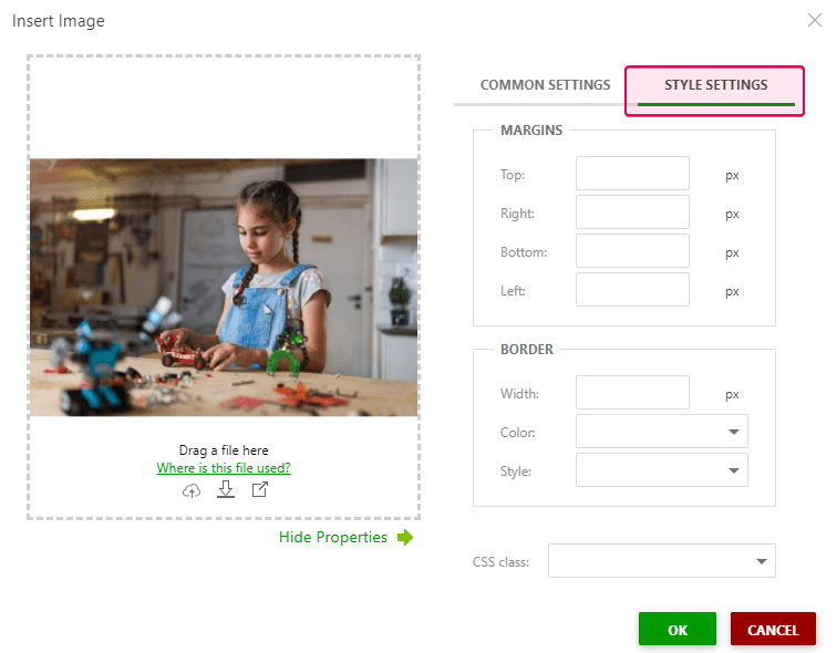 The Style Settings tab in the Image properties