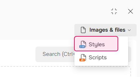 The Styles tab of the File Manager