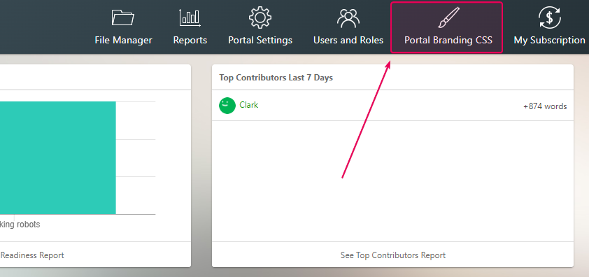 Portal Branding CSS button on the Projects page
