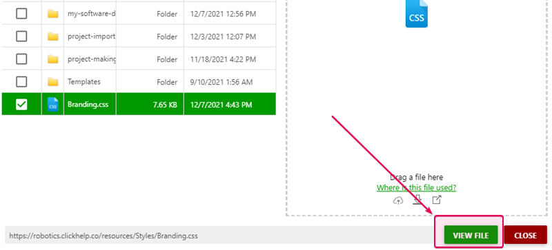 The view file button in the File Manager