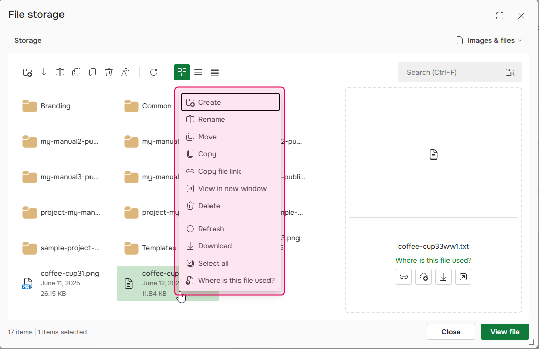 File Manager context menu.